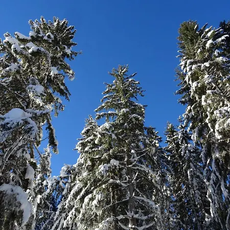 Holiday Plaik-hausl Annaberg im Lammertal